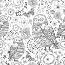 Coloriage Hiboux entourés de fleurs et de papillons