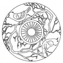 Coloriage Mandala avec oiseaux perchés sur des branches nues