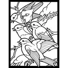 Coloriage Groupe d'oiseaux perchés sur une branche