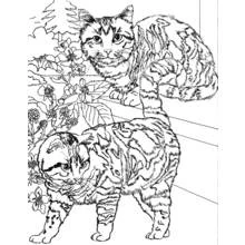 Coloriage Deux chats sur des marches