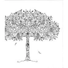 Coloriage Arbre aux hiboux et feuillage dense
