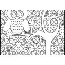 Coloriage Hibou perché sur une branche avec arbre mandala