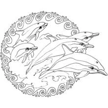Mandalas Animaux - Coloriages gratuits à imprimer