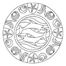Coloriage Mandala de dauphins avec coquillages et étoiles de mer