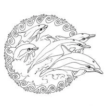 Coloriage Mandala de dauphins bondissant dans les vagues
