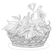 Coloriage Panier de fleurs à motifs tressés