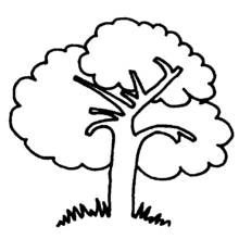 Coloriage Arbre à double tronc et feuillage en nuages