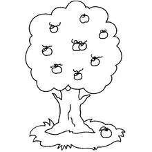 Coloriage Arbre fruitier chargé de pommes