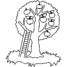 Coloriage Arbre à pommes avec échelle