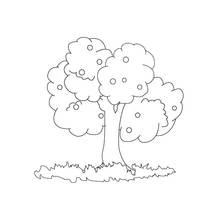 Coloriage Arbre fruitier aux fruits ronds