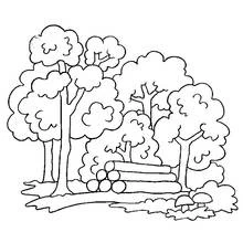 Coloriage Arbre en forêt avec des bûches empilées