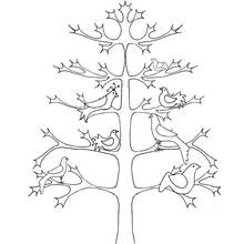 Coloriage Arbre stylisé avec des oiseaux perchés