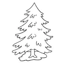 Coloriage Grand sapin aux branches tombantes