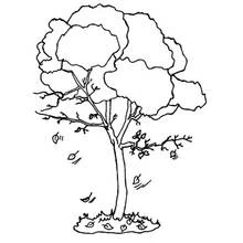 Coloriage Arbre d'automne avec des feuilles qui tombent