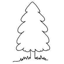 Coloriage Arbre en forme de sapin avec de l'herbe