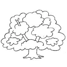 Coloriage Arbre aux racines visibles et couronne en nuage