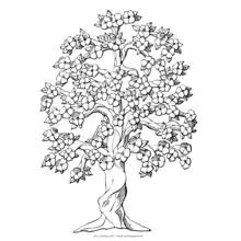 Coloriage Arbre couvert de fleurs