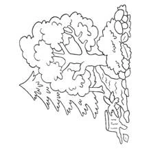 Coloriage Arbre au feuillage dense et branches épaisses
