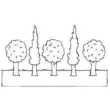 Coloriage Rangée de cinq arbres ronds et pointus