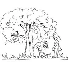 Coloriage Arbre aux pommes avec un serpent dans le jardin