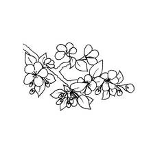 Coloriage Branche d'arbre japonais en fleurs