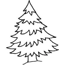 Coloriage Arbre en forme de sapin aux branches étagées