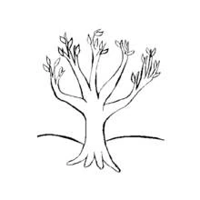 Coloriage Arbre nu aux jeunes bourgeons