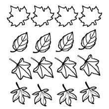 Coloriage Rangées de feuilles d'arbre aux formes variées
