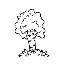 Coloriage Arbre au feuillage arrondi
