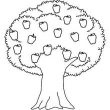 Coloriage Arbre chargé de pommes