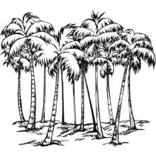Coloriage Bosquet de palmiers