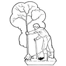 Coloriage Homme plantant un jeune arbre