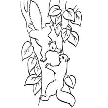 Coloriage Écureuils grimpant sur un tronc d'arbre feuillu