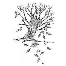 Coloriage Arbre perdant ses feuilles en automne