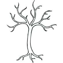 Coloriage Arbre nu aux branches déployées
