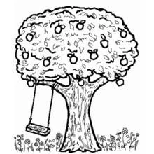 Coloriage Arbre à pommes avec une balançoire