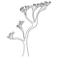 Coloriage Arbre au tronc incliné et touffes de feuilles