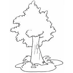 Page de coloriage Arbre (Nature et saisons) #190460, gratuite à imprimer Page de coloriage Arbre (Nature et saisons) #190460, gratuite à imprimer