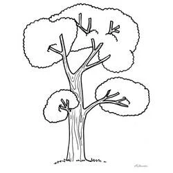 Coloriage à imprimer Arbre (Nature et saisons) #190476 pour enfants et adultes Coloriage à imprimer Arbre (Nature et saisons) #190476 pour enfants et adultes