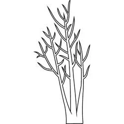 Coloriage imprimable Arbre (Nature et saisons) #190477 à colorier gratuitement Coloriage imprimable Arbre (Nature et saisons) #190477 à colorier gratuitement