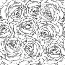 Coloriage Bouquet de roses épanouies