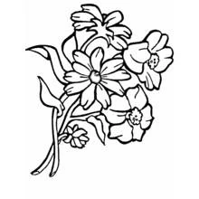 Coloriage Bouquet de fleurs aux larges pétales