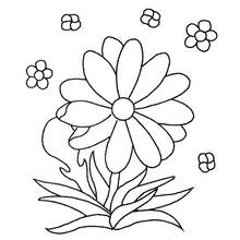 Coloriage Grande marguerite avec petites fleurs
