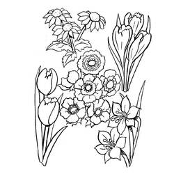 Coloriage Bouquet de fleurs avec tulipes et crocus