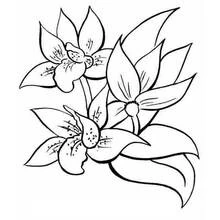 Coloriage Bouquet de fleurs avec trois grandes fleurs