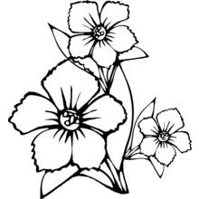 Coloriage Bouquet de fleurs à trois corolles