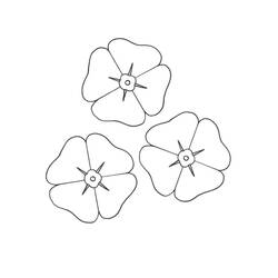 Coloriage Coquelicot en trio fleuri