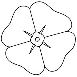Coloriage Coquelicot vu de face avec quatre pétales