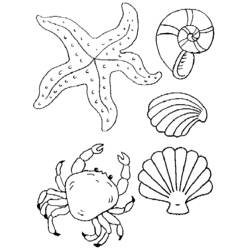 Coloriage Coquillage, étoile de mer et crabe