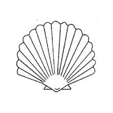 Coquillage - Coloriages gratuits à imprimer